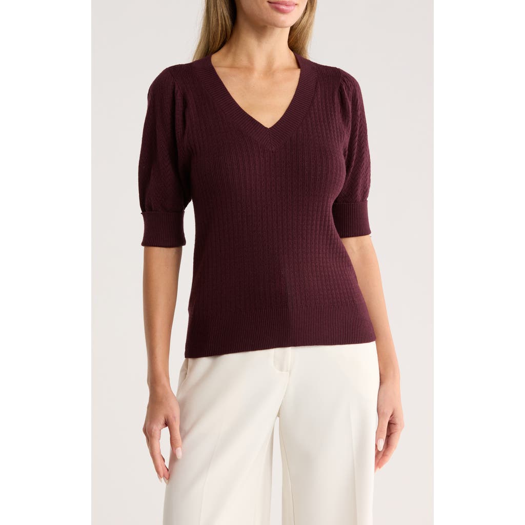Dr2 By Daniel Rainn Pointelle Stitch Sweater In Brown
