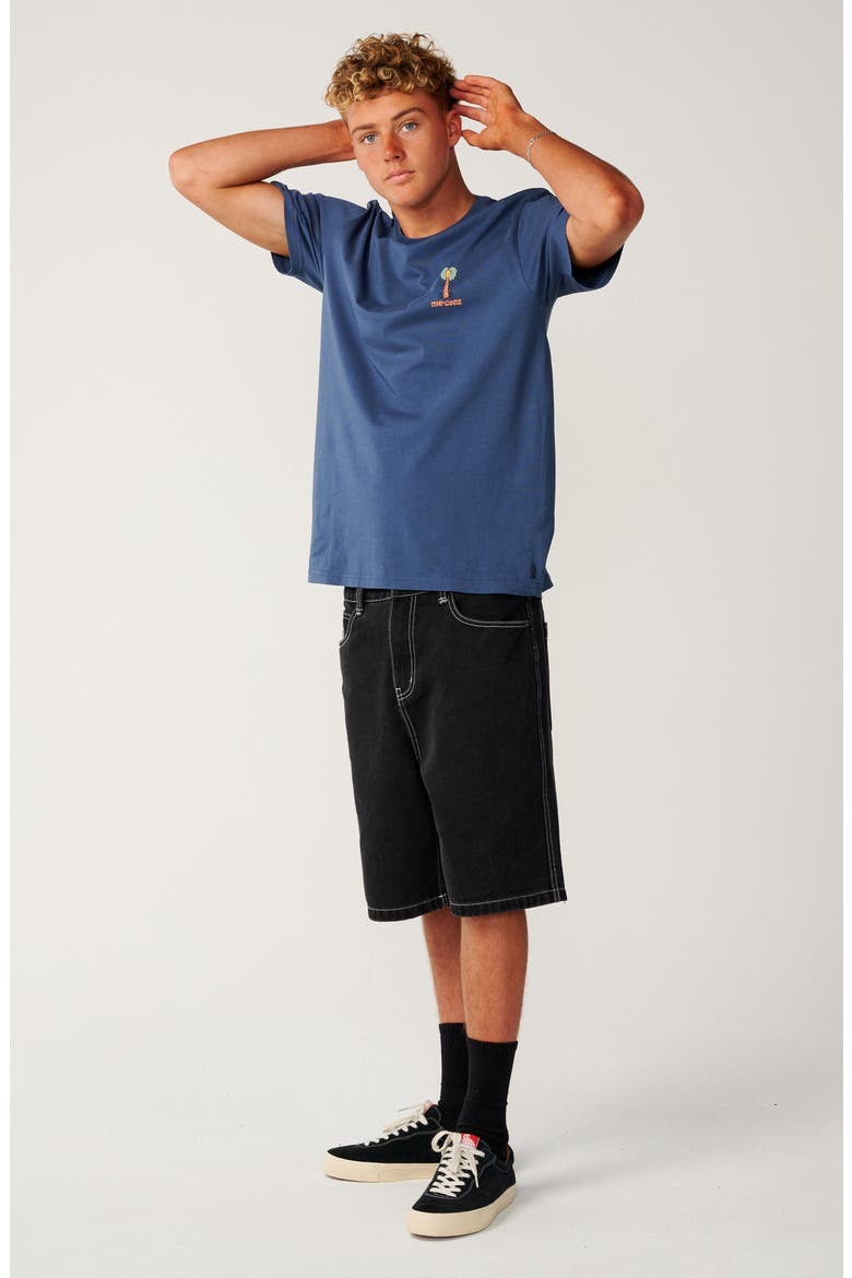 Pacific Rinse Cotton Graphic T-Shirt, Alternate, color, LIGHT NAVY
