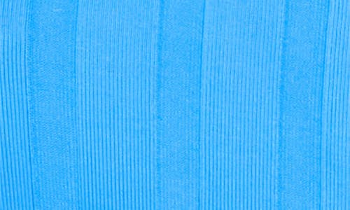 Vitamin A ® Ursula Bikini Top In Blue