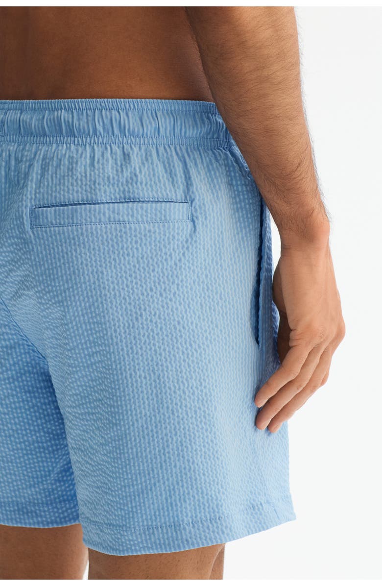 H&M Seersucker Swim Shorts, Alternate, color, Light Blue/Striped