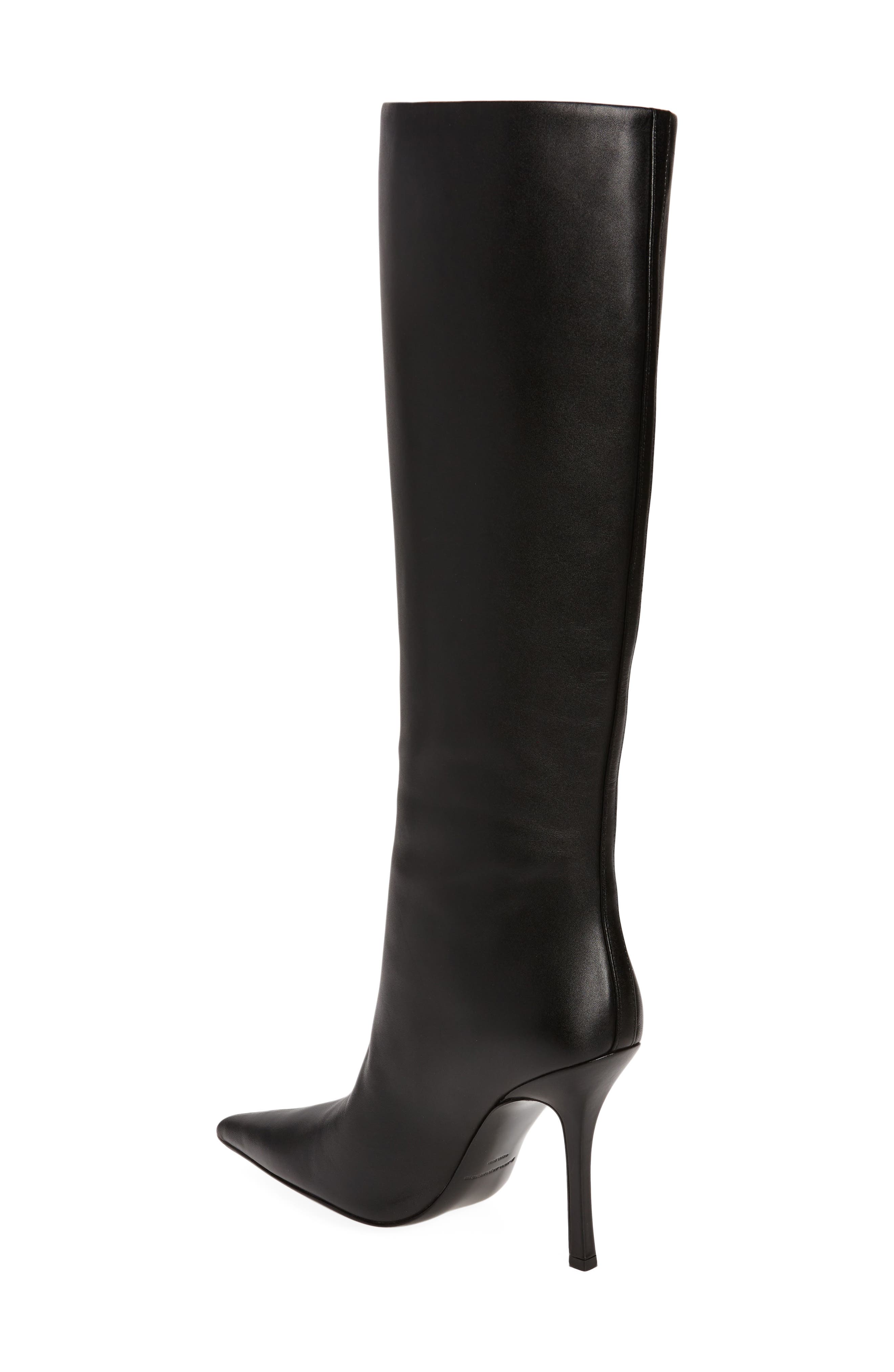 Alexander Wang Delphine Pointed Toe Boot, Alternate, color, 