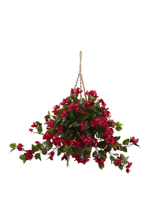 Bougainvillea Hanging Basket UV Resistant (Indoor/Outdoor)