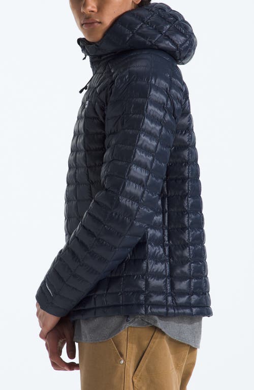 The North Face Thermoball Quilted Hooded Jacket In Blue