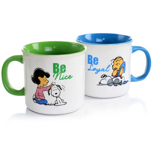 Peanuts Gentle Reminders Stoneware 4 Piece 21oz Mug Set In Multi