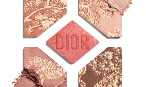 Dior 'show 5 Couleurs Limited Edition 5 Color Eyeshadow Palette