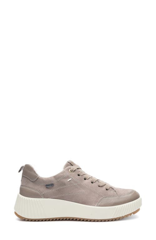Ara Delphi Gore-tex™ Waterproof Lace-up Sneaker In Multi