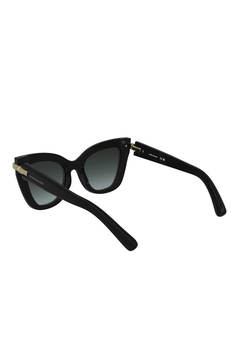 Roseau 50mm Gradient Cat Eye Sunglasses, Alternate, color, BLACK
