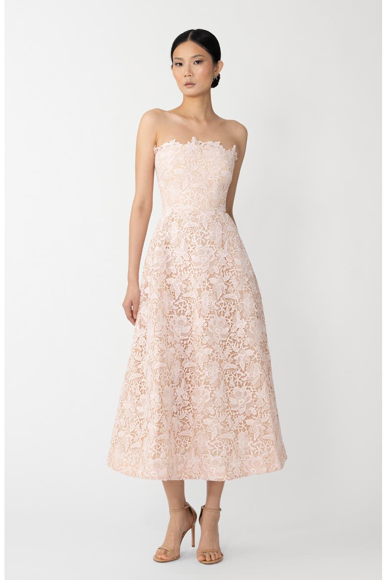 Rosalia Strapless Lace Dress, Alternate, color, SHEER PINK