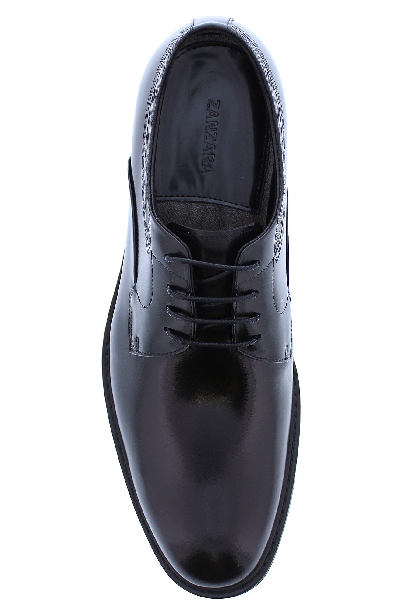 Zanzara Mick Oxford, Alternate, color, 