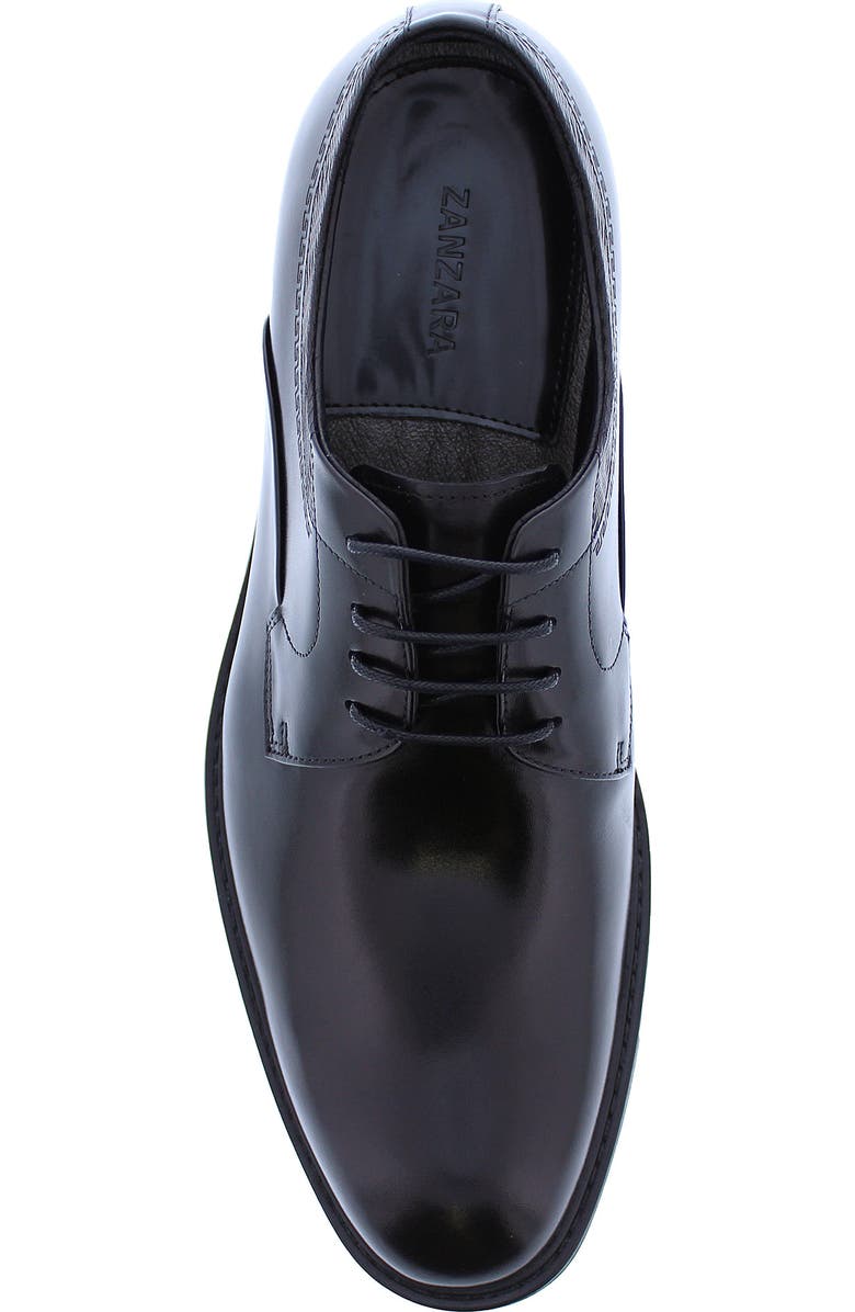 Zanzara Mick Oxford, Alternate, color,