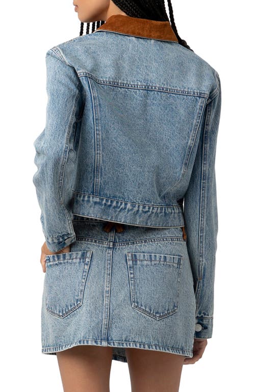 Blanknyc Faux Suede Trim Denim Trucker Jacket