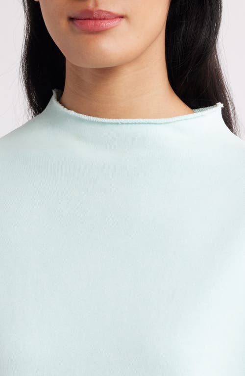 Shop Frank & Eileen Audrey Funnel Neck Capelet In Dewberry Mineral Wash