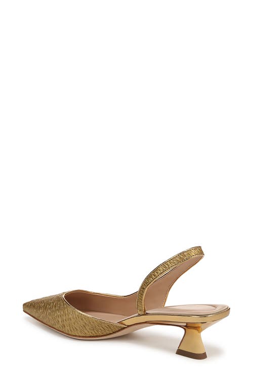 Sarto By Franco Sarto Devin Kitten Heel Slingback Pump In Gold