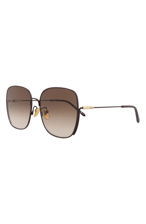Chloé 61mm Square Sunglasses In Brown