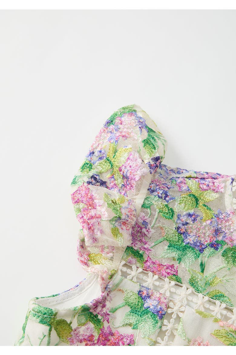 Clementine Embroidered Mini Dress, Alternate, color, Floral