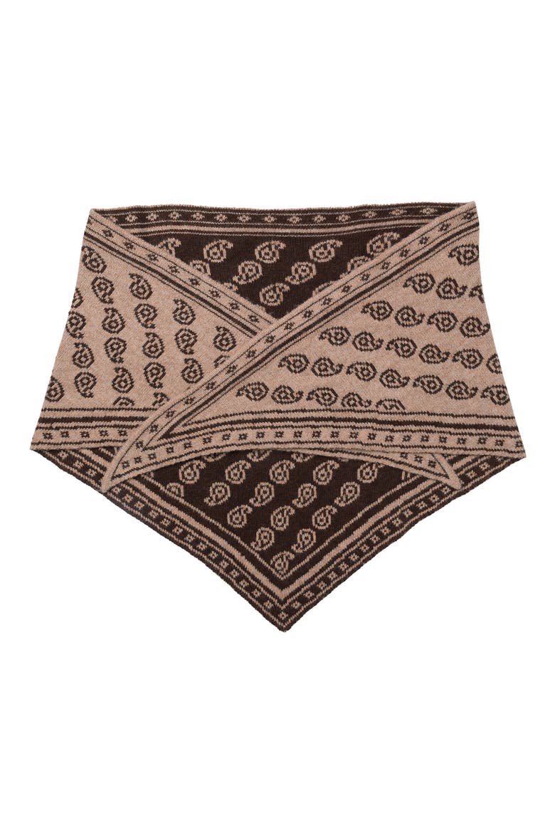 x Cellajaneblog Reversible Scarf, Alternate, color, JAVA BROWN PAISLEY