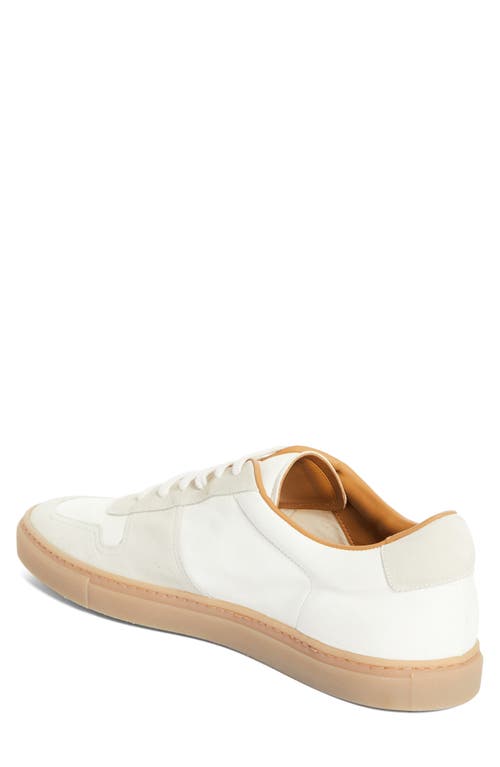Common Projects Bball Panelled Leather Sneakers In 4102 Off White
