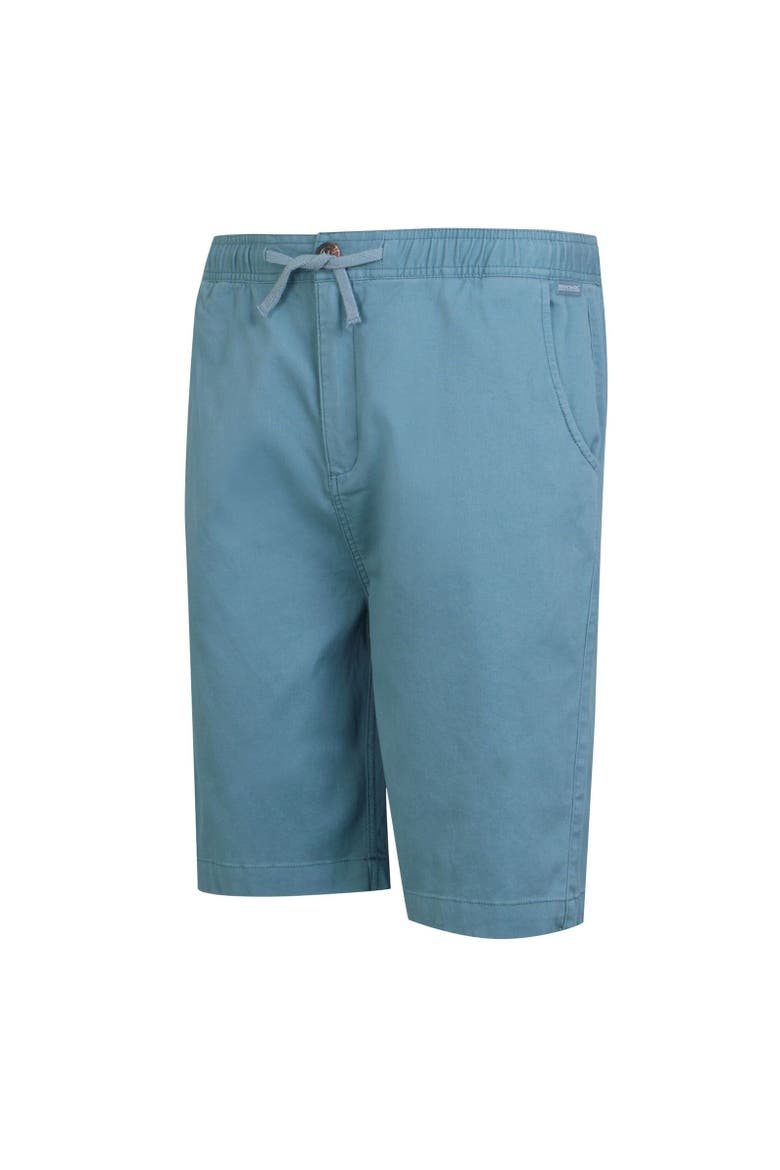 Aldan Chino Shorts, Alternate, color, Coronet Blue