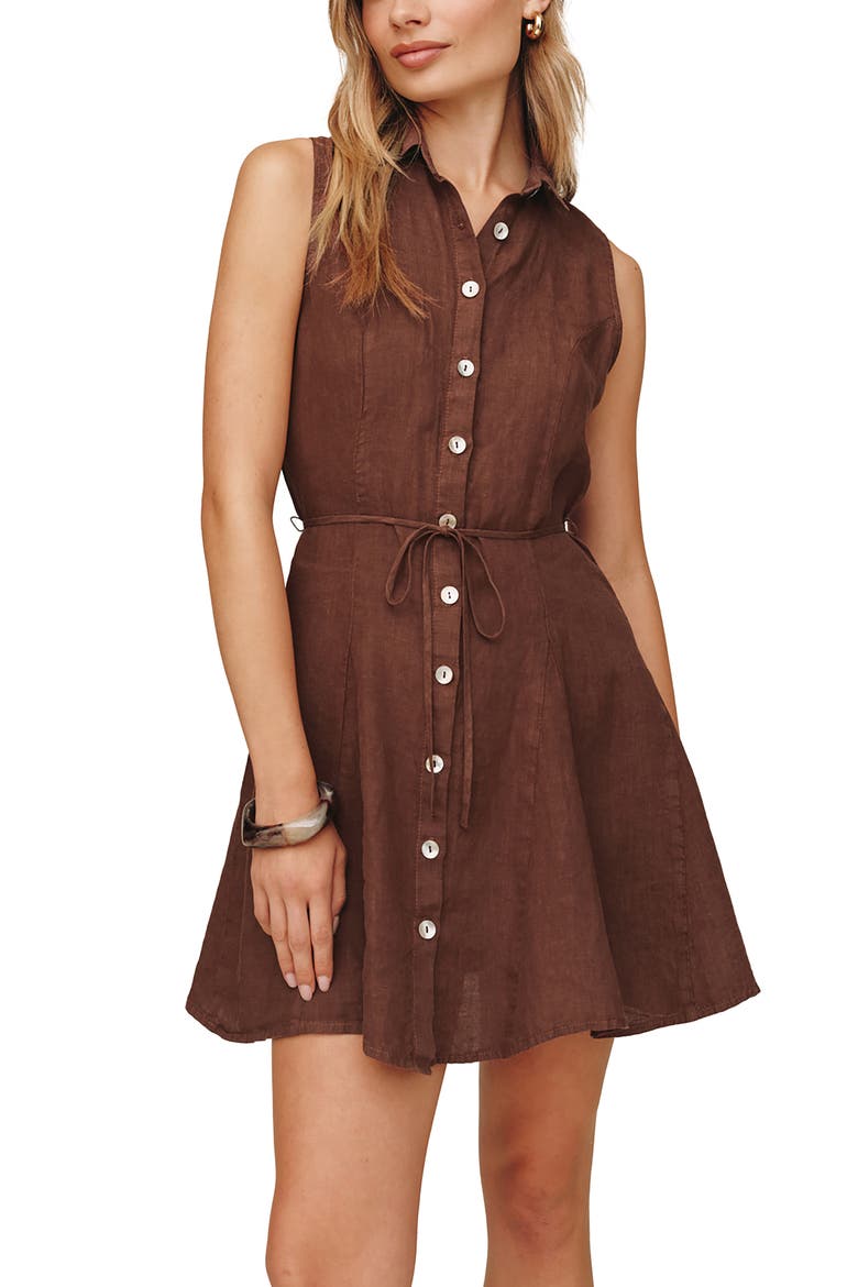 Sleeveless Tie Waist Linen Minidress, Alternate, color, SEA GLASS BROWN