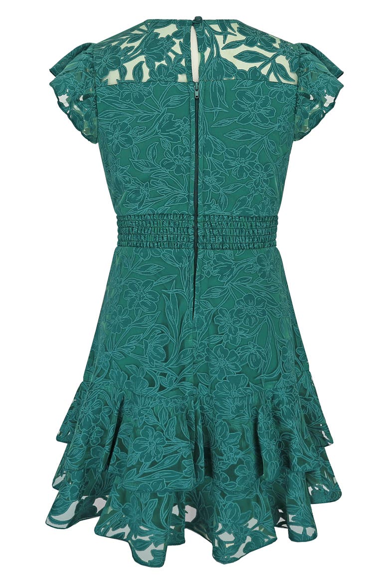 Kids' Burnout Lace Overlay Party Dress, Alternate, color, HUNTER