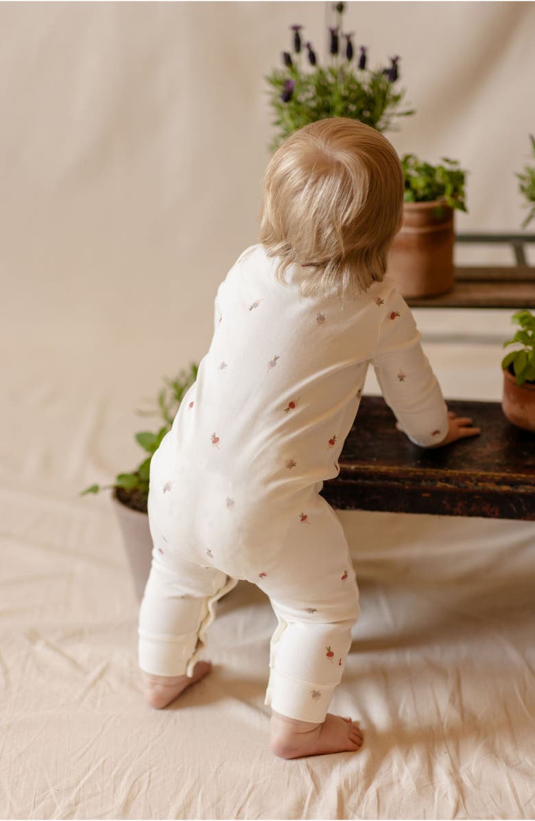 Pehr Print Long Sleeve Organic Cotton Henley Romper, Alternate, color, 