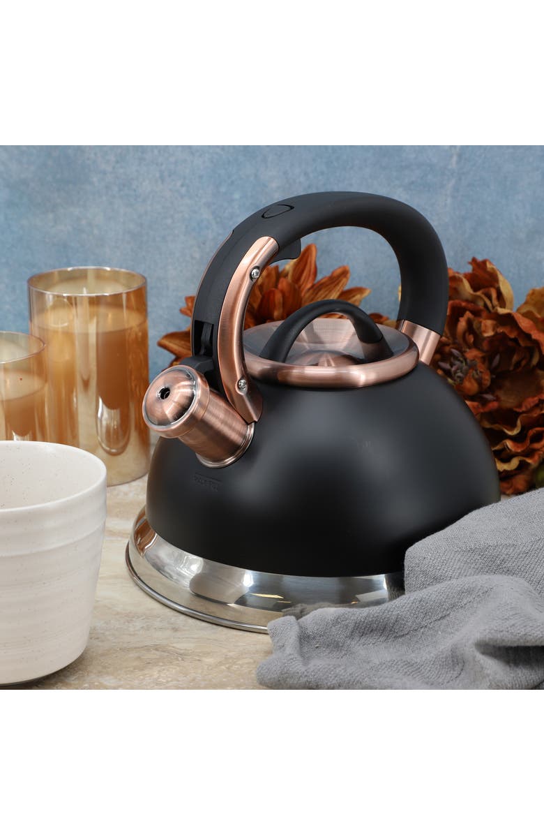 Mr. Coffee Flintshire 2.2 Quart Stainless Steel Whistling Tea Kettle, Alternate, color, Black