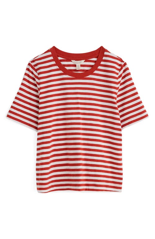 Shop Seasalt Cornwall Copseland Stripe Organic Cotton T-shirt In Cornish Chalk Dark Cinnamon