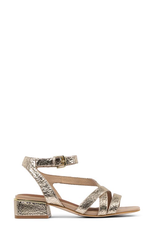 Shop Donald Pliner Frannie Ankle Strap Sandal In Platino