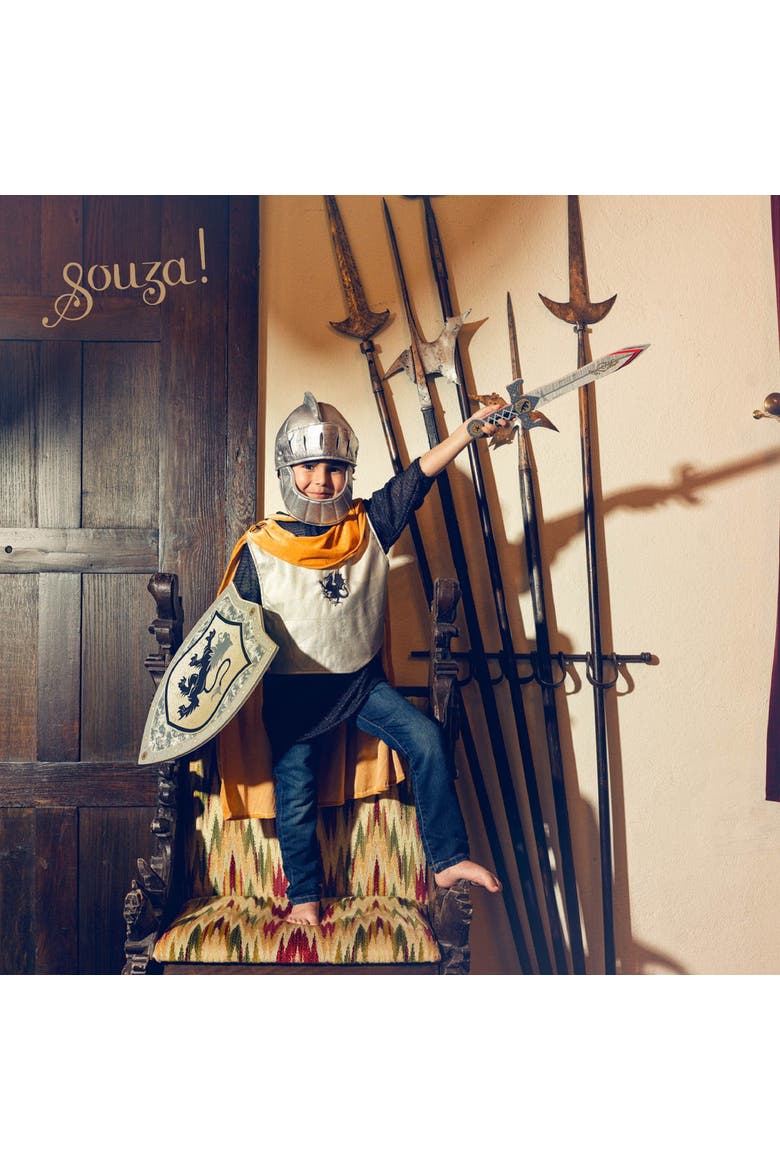Shield Raymond Costume Accessory, Alternate, color, Silver
