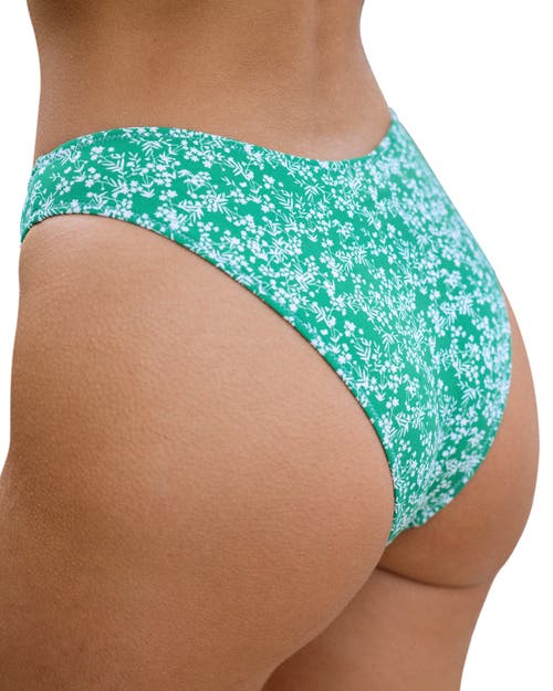 BRIGHT SWIMWEAR GEMMA BOTTOM BRIGHT SWIMWEAR GEMMA BOTTOM