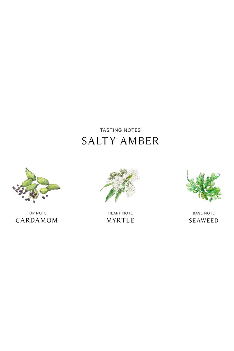 Salty Amber Cologne, Alternate, color, NO COLOR