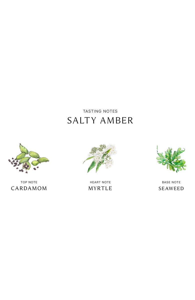 Jo Malone London<sup>™</sup> Salty Amber Cologne, Alternate, color,