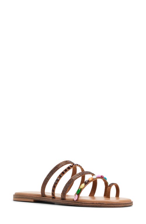 Shop Aldo Lindya Toe Ring Slide Sandal In Brown Multi