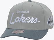 Mitchell & Ness Men's Mitchell & Ness Gray Los Angeles Lakers Thunderstorm Head Coach Pro Crown Snapback Hat