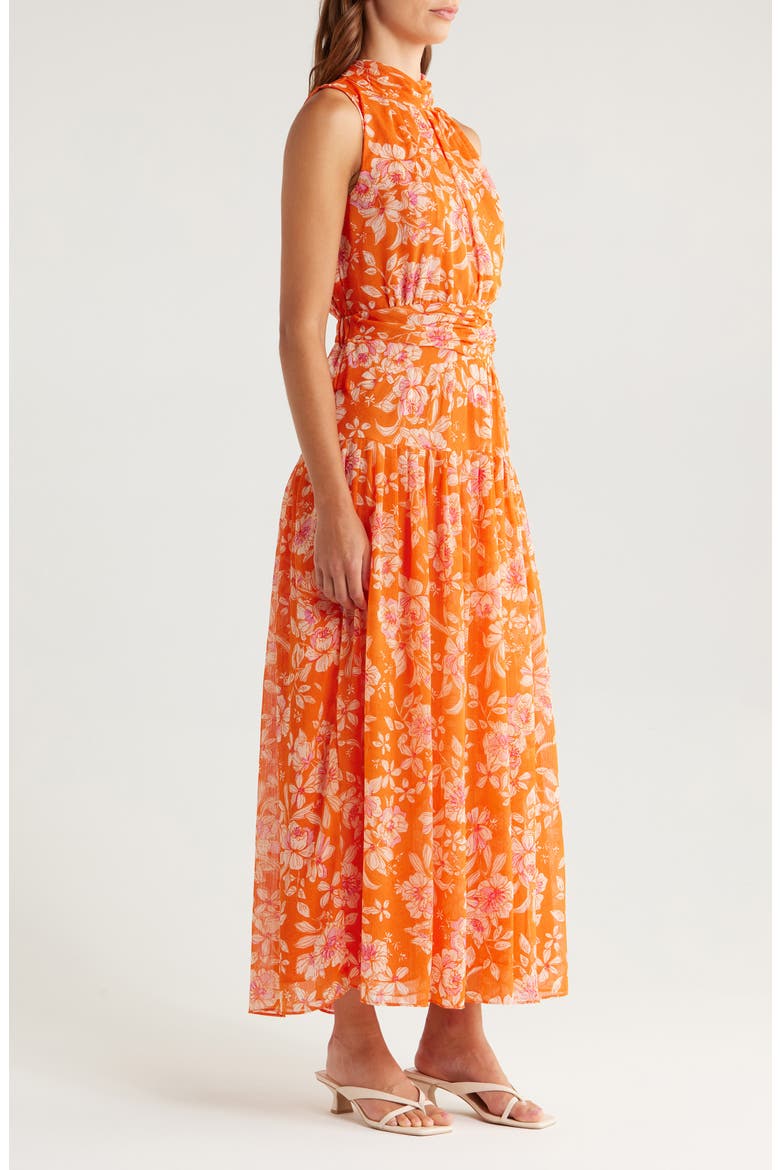 Floral Print Sleeveless Maxi Dress, Alternate, color, CORAL MULT