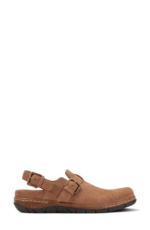 Earth Women's Elmonte Slingback Clogs In Brown