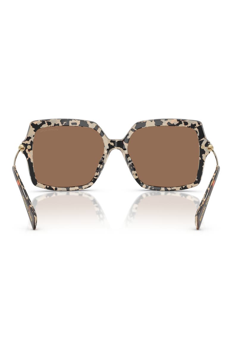 55mm Square Sunglasses, Alternate, color, DARK / CREAM TORTOISE / BROWN