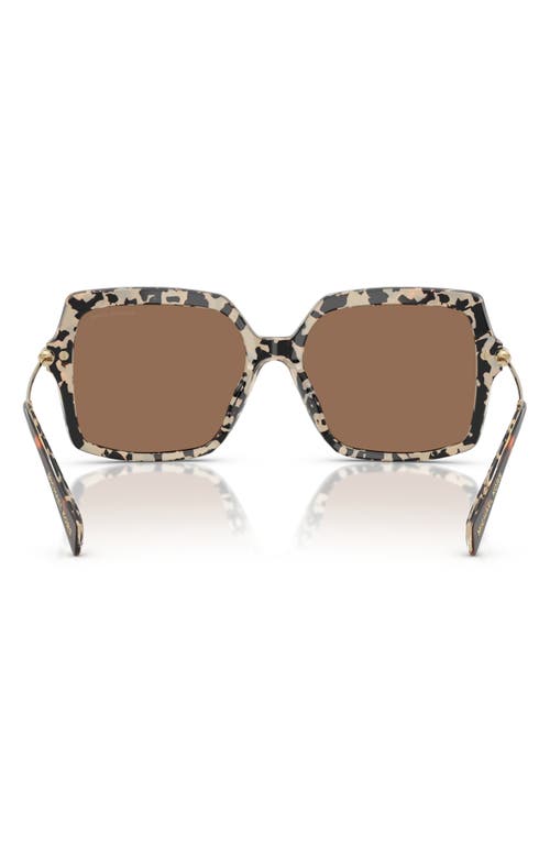 Michael Kors 55mm Square Sunglasses In Multi
