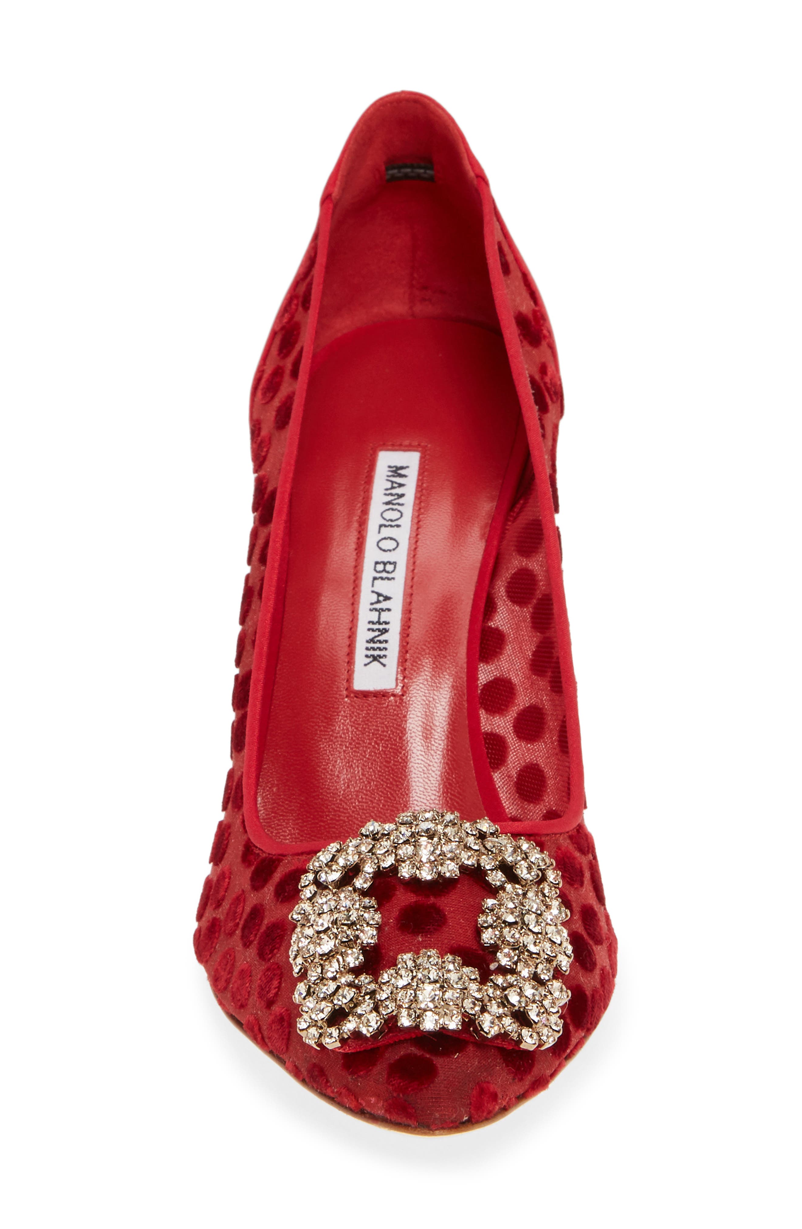 Manolo Blahnik Hangisi Pointed Toe Pump, Alternate, color, 