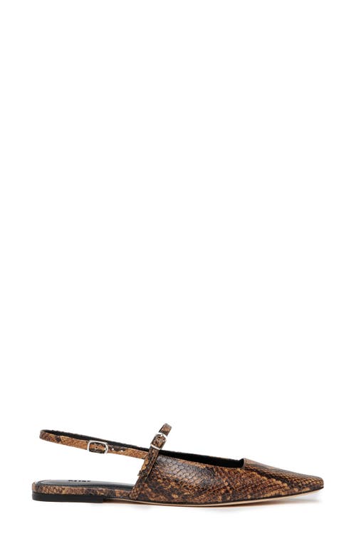 Paige Whitley Slingback Mary Jane Flat In Multi
