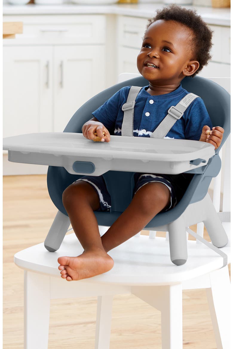 EON 4-in-1 High Chair, Alternate, color, BLUE