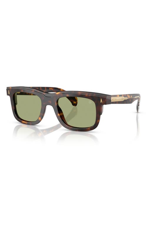 Moncler Claro 51mm Polarized Square Sunglasses In Tortoise