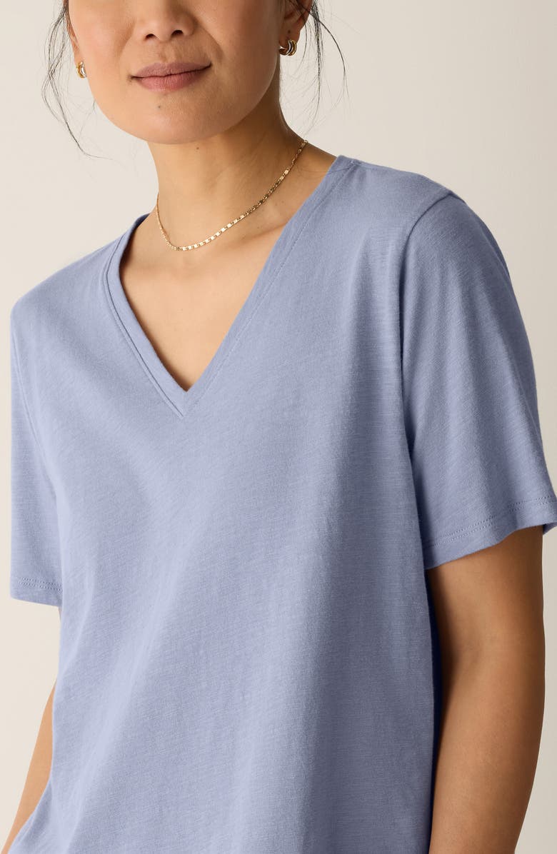 Eileen Fisher Easy V-Neck Organic Cotton T-Shirt, Alternate, color, Haze