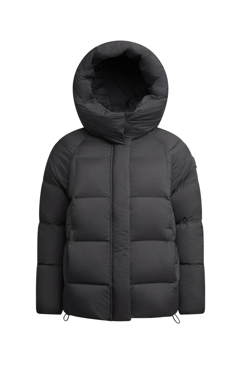 JACK1T Cloud Prime Hooded Down Jacket, Alternate, color, Black/Stone