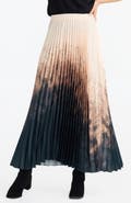 Brave+True Alias Pleated Maxi Skirt