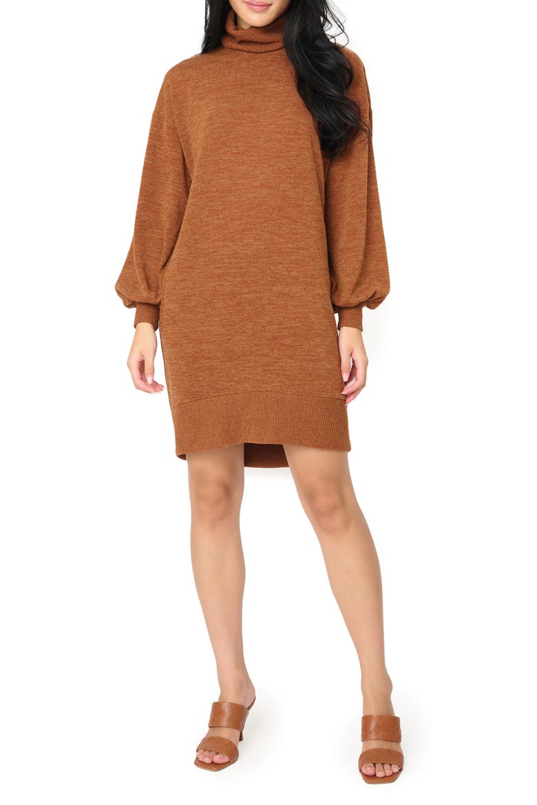 Long Sleeve Sweater Dress, Main, color, SADDLE BROWN