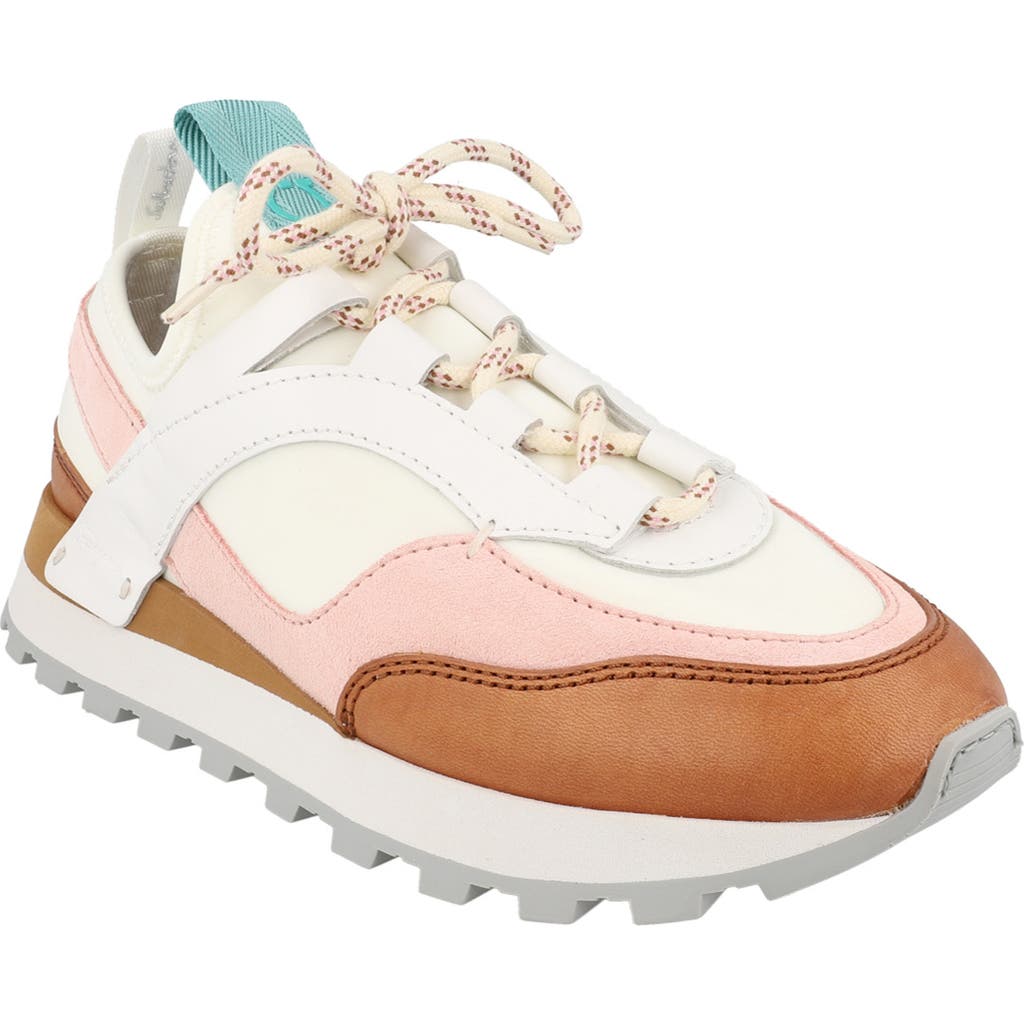 Ferragamo Indy Low-top Sneakers In Multi