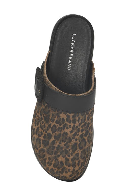 Lucky Brand Sachie Clog In Animal Print