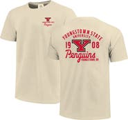 IMAGE ONE Men's Cream Youngstown State Penguins Comfort Colors Mascot Overlay T-Shirt