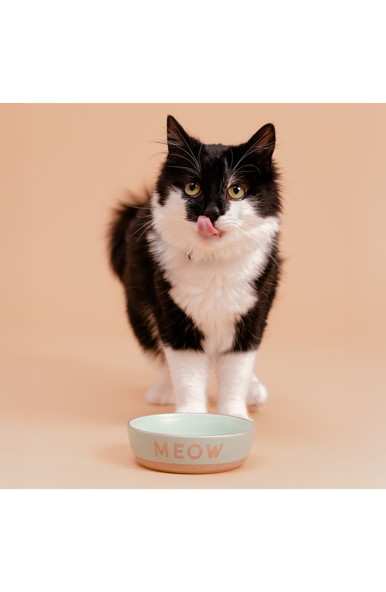 MASON CASH Meow Cat Bowl, 5.1 Inches, 10.1oz, Food & Water Dish, Alternate, color, Multicolored